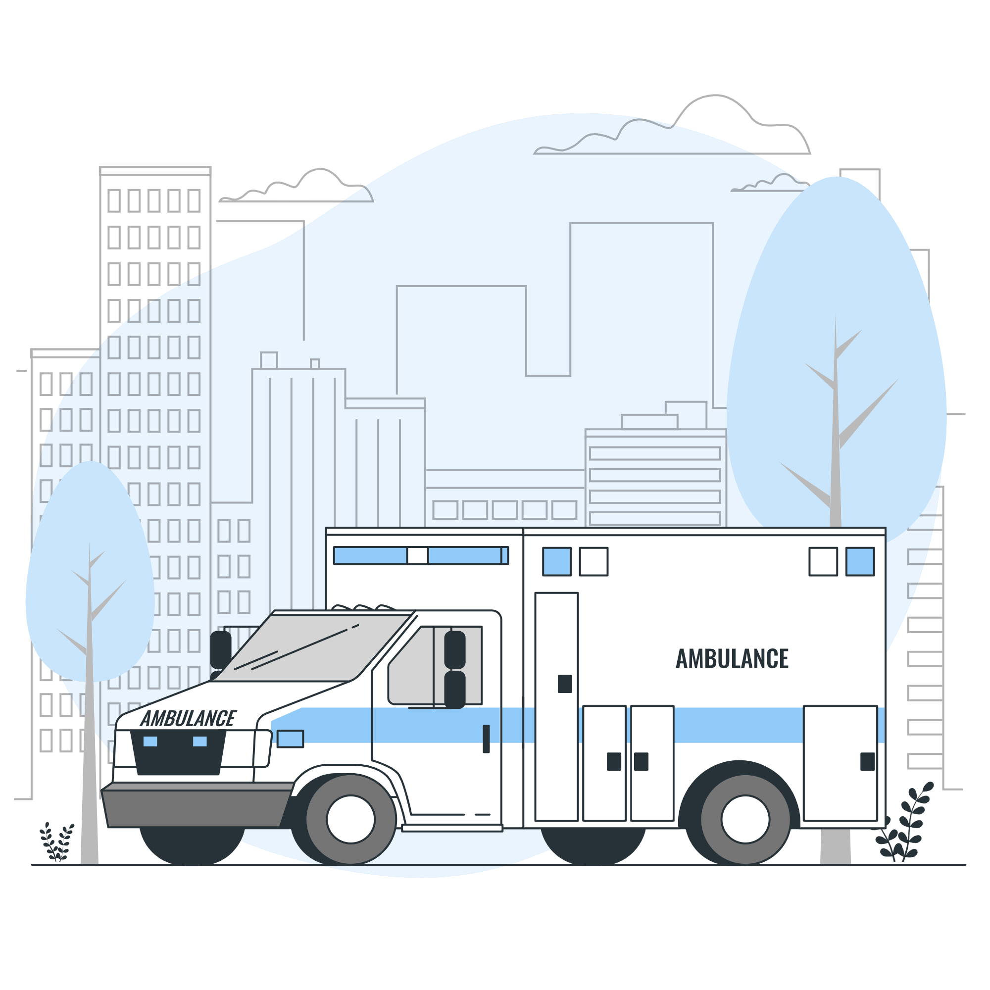 Dra. María González